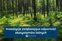 plakat przedstawiający las i napis inwestycje zwiększające odporność ekosystemów leśnych